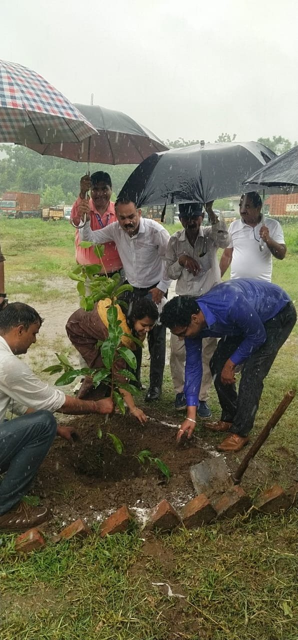 आज-हरेला-पर्व-पर-एआरटीओ-कार्यालय-हरिद्वार-में-व्यापक-वृक्षारोपण.jpg