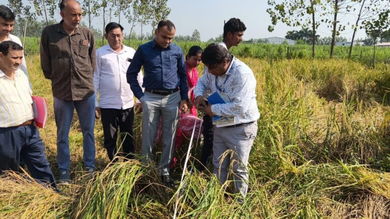 जिलाधिकारी-द्वारा-जनपद-में-फसल-धान-पर-रैण्डम-पद्धति-से.jpeg
