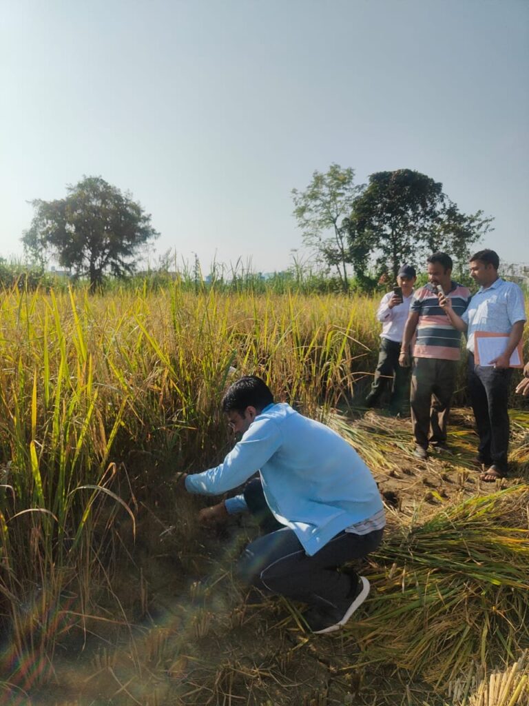 सुबह-सुबह-किसान-बन-डीएम-सविन-पहुंचे-धान-के-खेत-कृषकों.jpg
