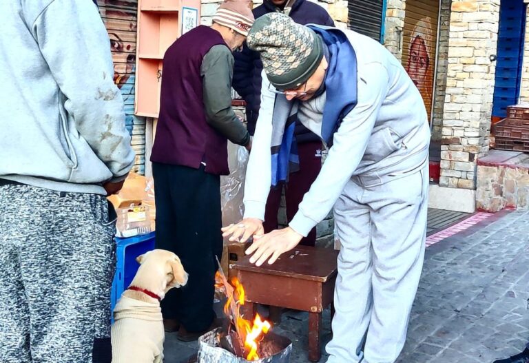 मुख्यमंत्री-धामी-का-निर्देश-प्रदेशभर-के-ठंड-एवं-शीतलहर-से.jpeg